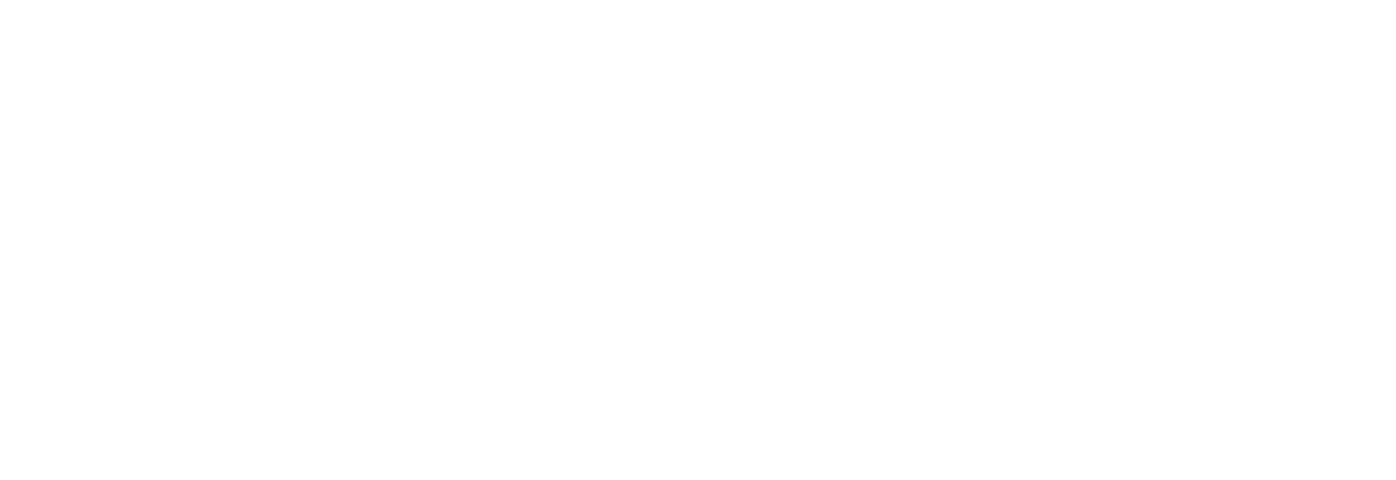Wiring diagram of the Le Son RCA Phono Cable: signal and signal ground run inside the shields, and the shields join the ground wire at both ends