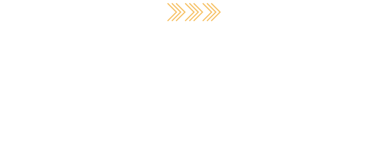 Wiring diagram of the Le Son Silver RCA Cable: the shield joins the signal ground at the amplifier end only, and the arrows point from the source to the amplifier