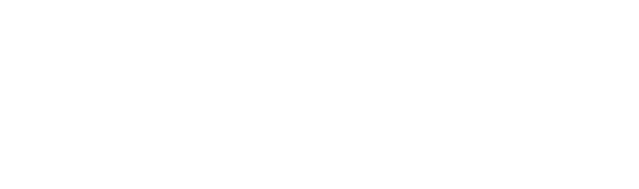 Wiring diagram of the Le Son Silver XLR Cable: pin 1 shield and ground, pin 2 positive signal, pin 3 negative signal